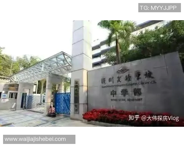 深圳排球队近期状态分析与对比探讨
